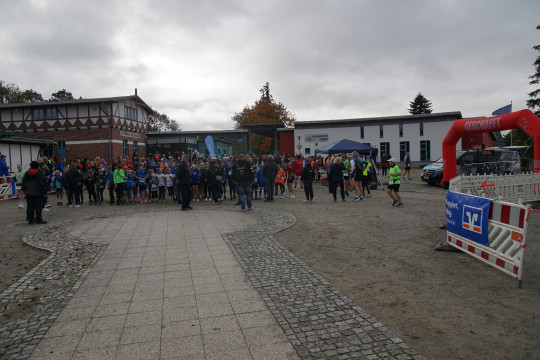 Foto-Vorschau