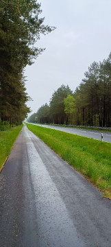 Photo thumbnail
